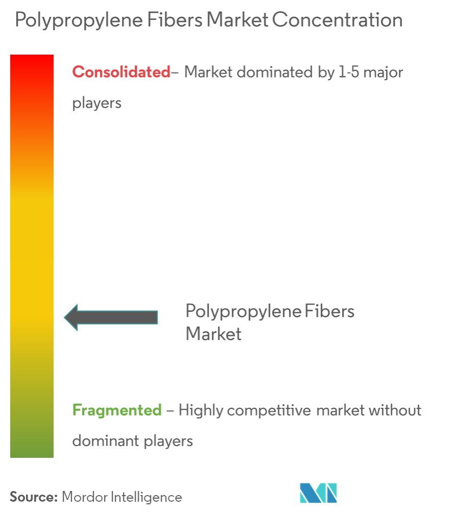 Polyropylene Fibers Market - Market Concentration
